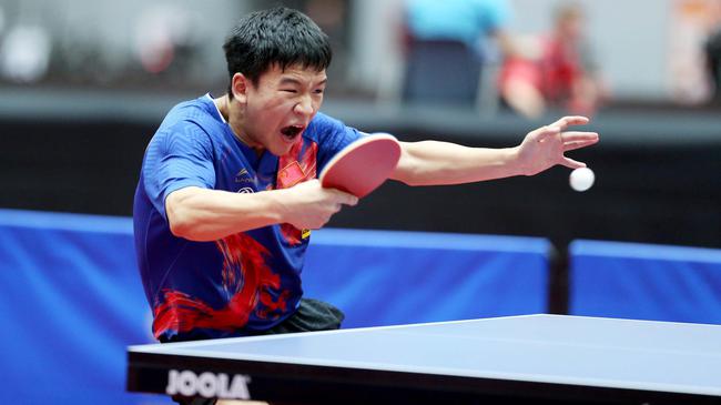 力与表现提 力与表现提