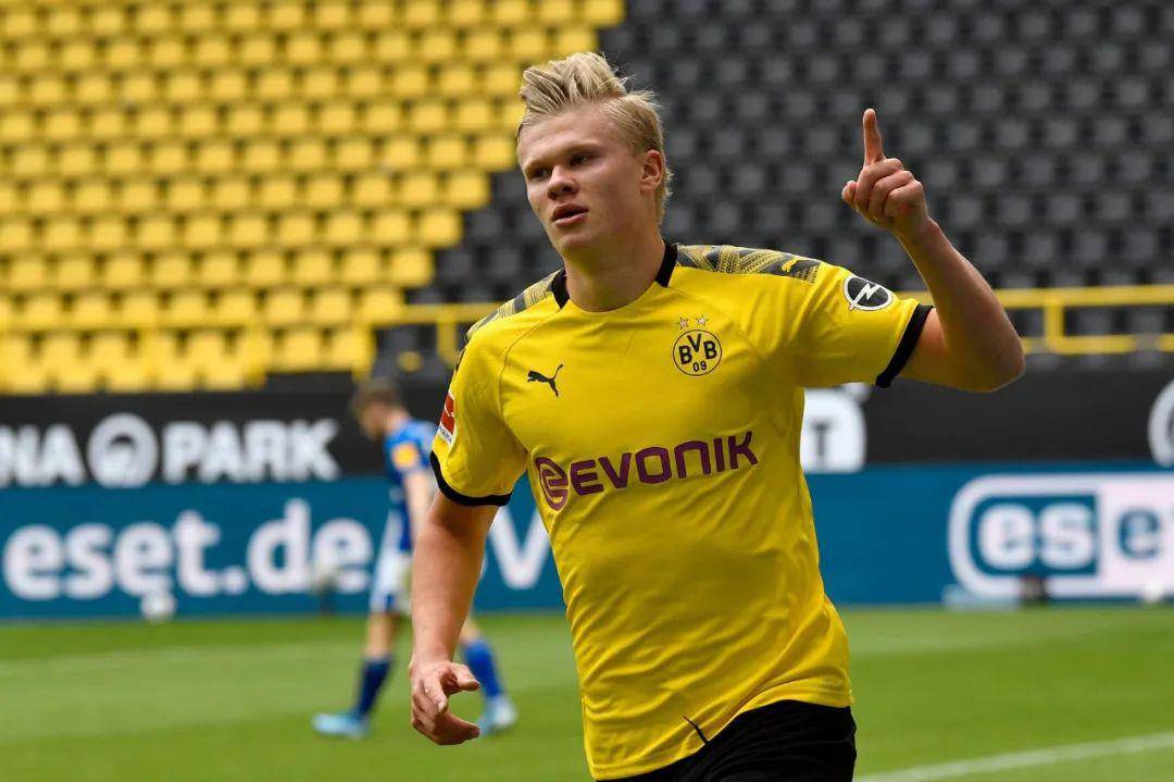 主题判断 主题判断